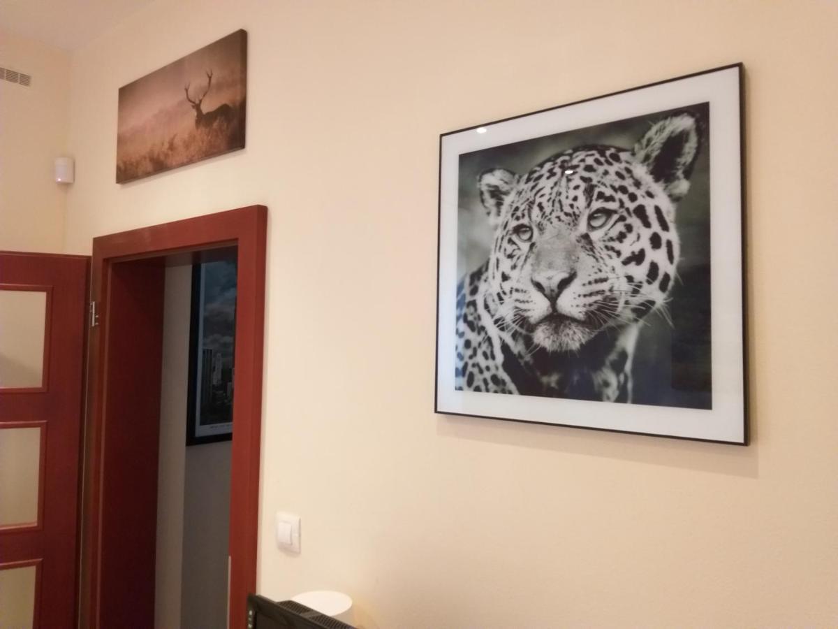 M10 Old Town Apartments كَشّا المظهر الخارجي الصورة